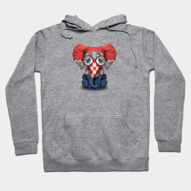 Baby Elephant with Glasses and Croatian Flag Hoodie by jeffbartels